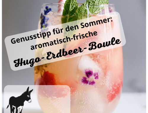Empfehlung für den Sommer: Hugo-Erdbeer-Bowle