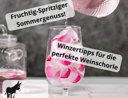 Die perfekte Weinschorle? So geht’s!